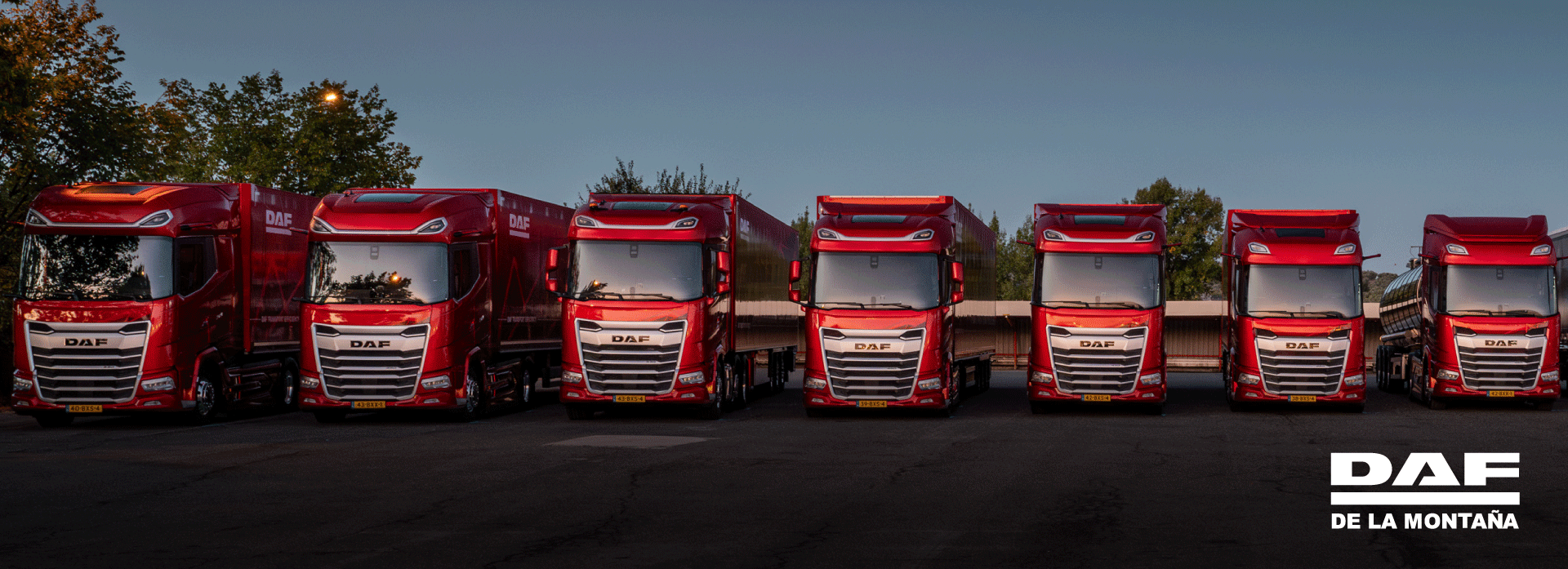 BANNER-DAF-ALTA-CALIDAD